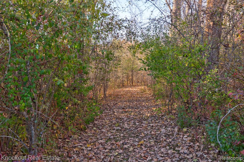 4690 Birch Run Road, Millington, MI 48746 — Photo 16