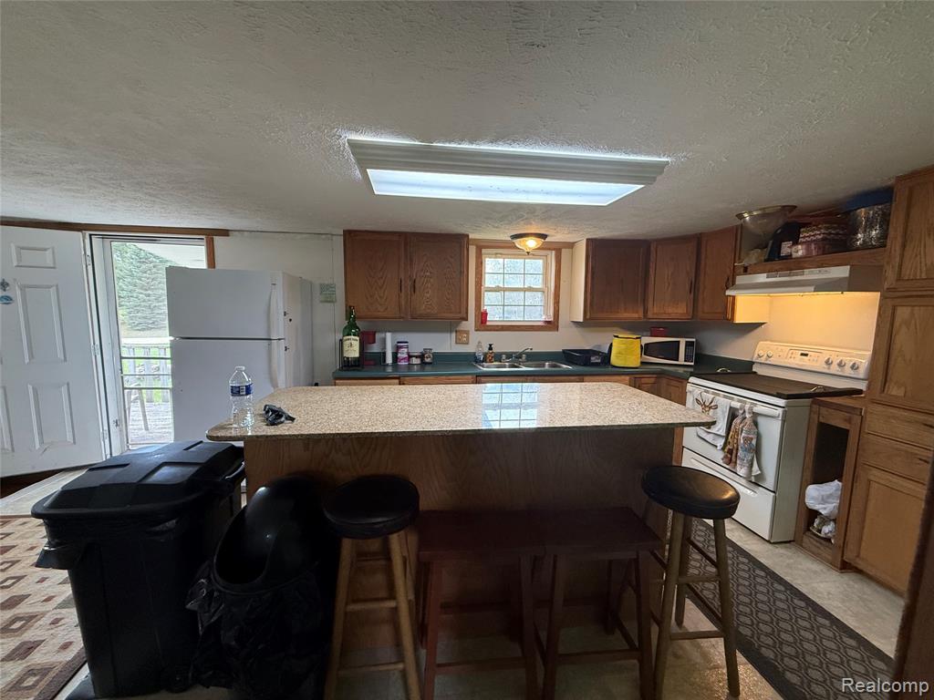 6392 20th Ave Avenue, Sears, MI 49679 — Photo 9