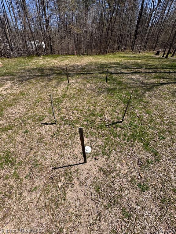 6891 PINE TREE Drive, Glennie, MI 48737 — Photo 23