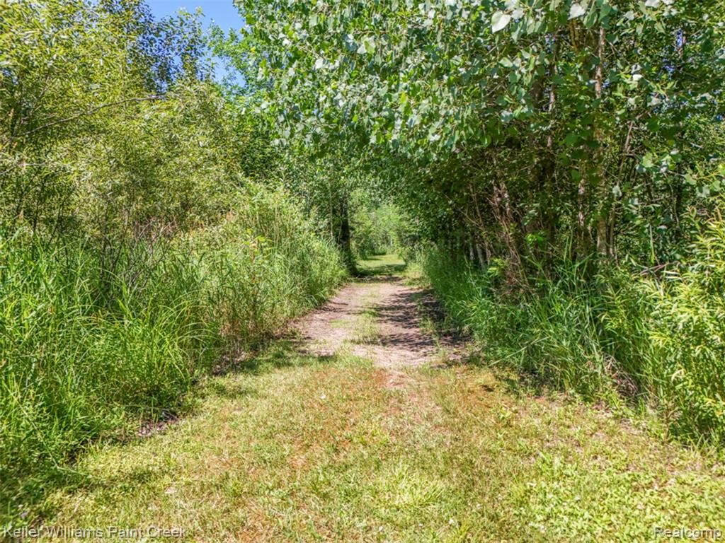 4107 Pine Street, Gladwin, MI 48624 — Photo 43