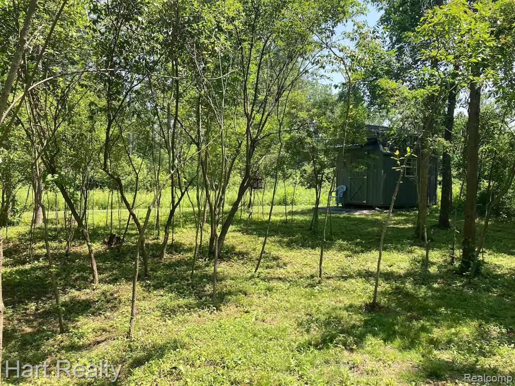 4250 Midway Road, MI — Photo 5