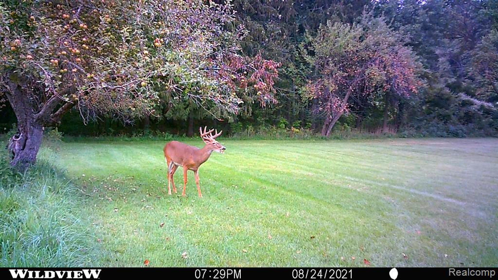3809 WILDER Road, Metamora, MI 48455 — Photo 70
