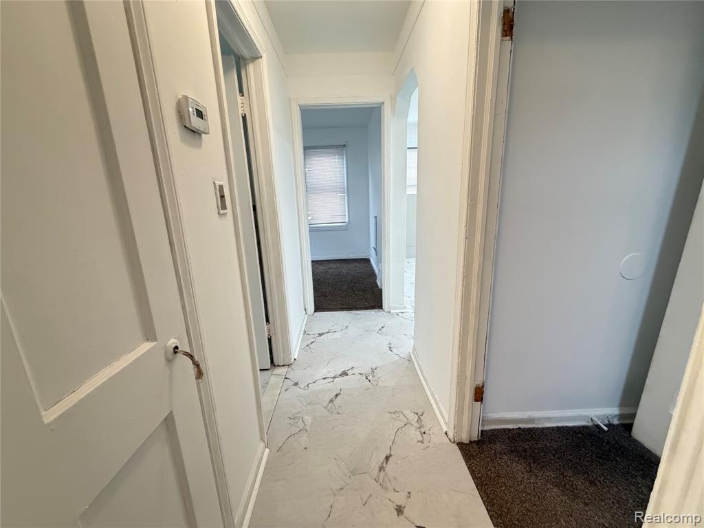 7306 Dolphin, Detroit, MI 48239 — Photo 9