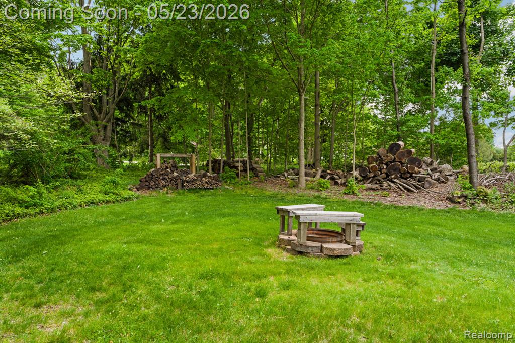 14148 Hayrake Hollow, Chelsea, MI 48118 — Photo 47