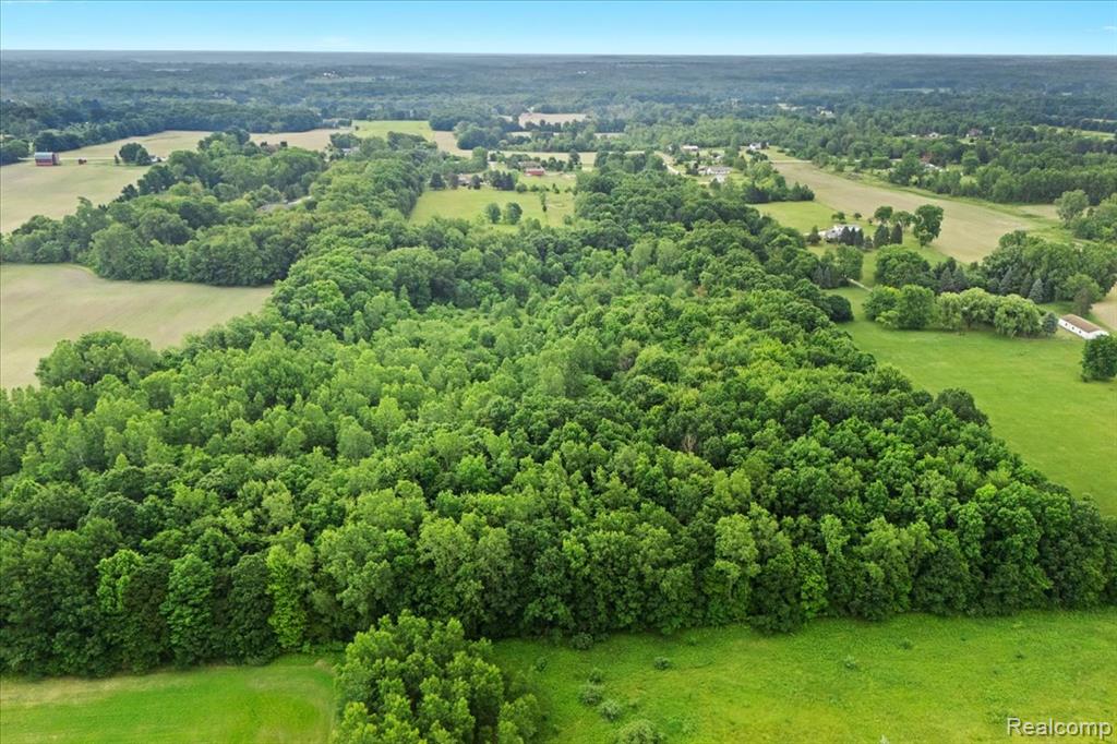 VL N Fleming Road, Fowlerville, MI 48836 — Photo 16