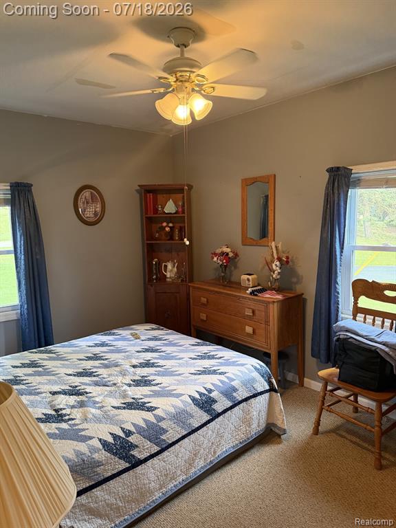 4070 Blood Road, Metamora, MI 48455 — Photo 24
