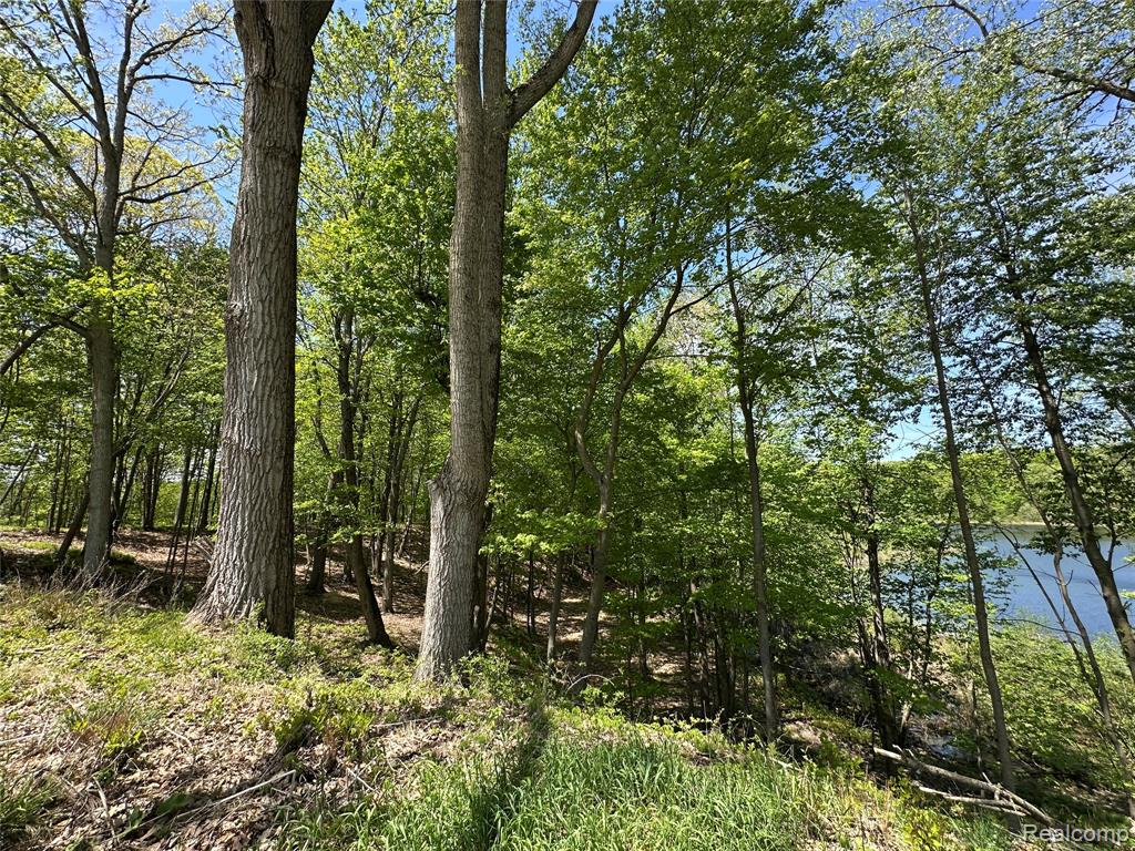 6727 Sherman Street, Otter Lake, MI 48464 — Photo 13