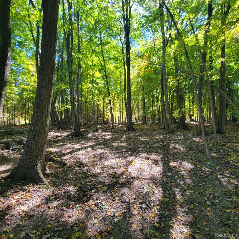 5782 LYONS Road, Imlay City, MI 48444 — Photo 33