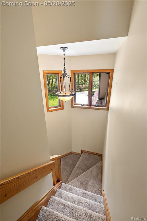 501 Cedarwood Street, Oxford, MI 48371 — Photo 45
