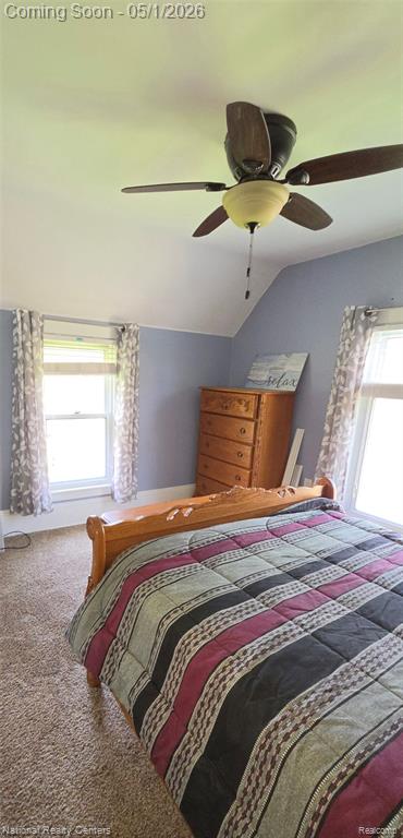 313 Tiffany Street, Brooklyn, MI 49230 — Photo 38