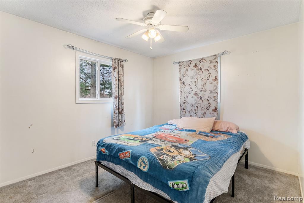 8629 CANADA Road, Birch Run, MI 48415 — Photo 14