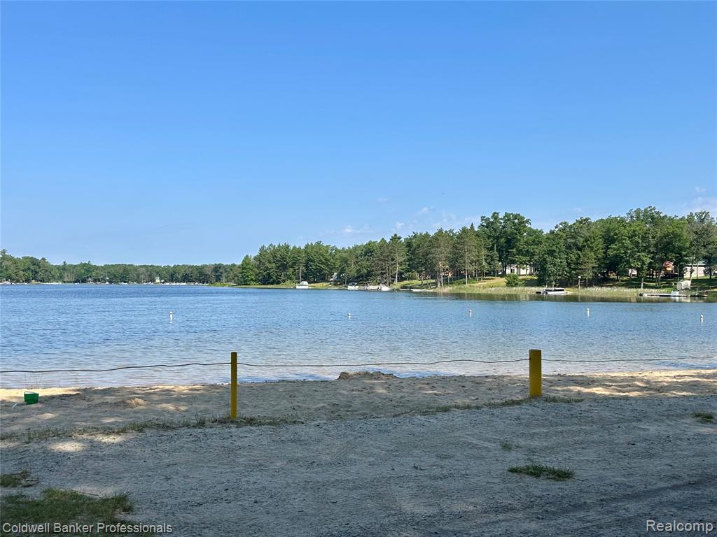 7351 Chain Lake Drive, South Branch, MI, 48761