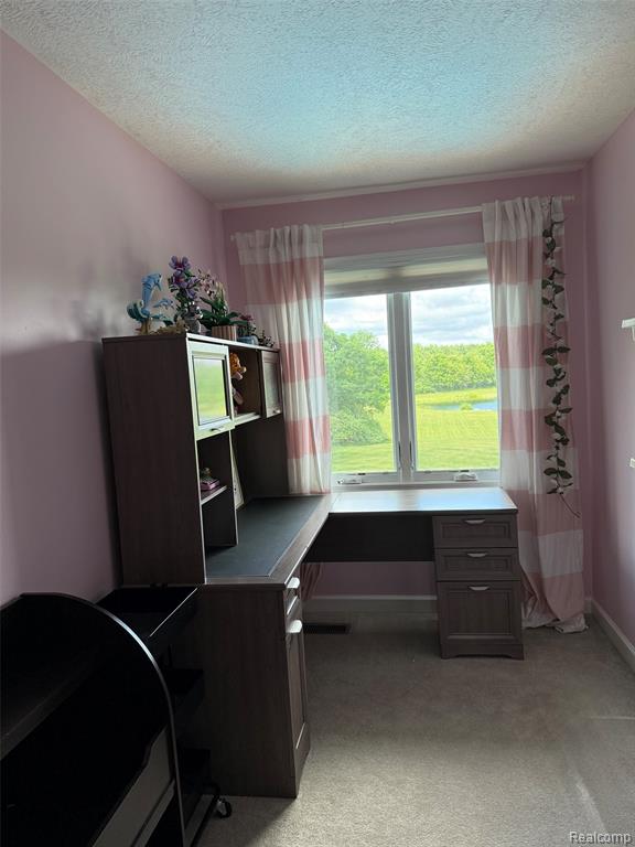 16118 Jeff Court, Grand Ledge, MI 48837 — Photo 45