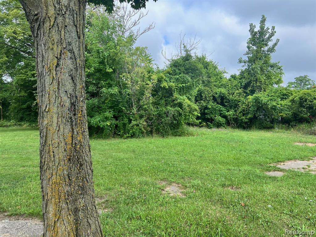 9161 Delmar Street, Detroit, MI 48211 — Photo 4