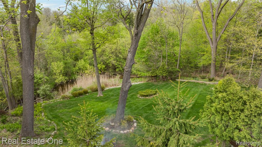 26336 Pillsbury Street, Farmington, MI 48334 — Photo 13