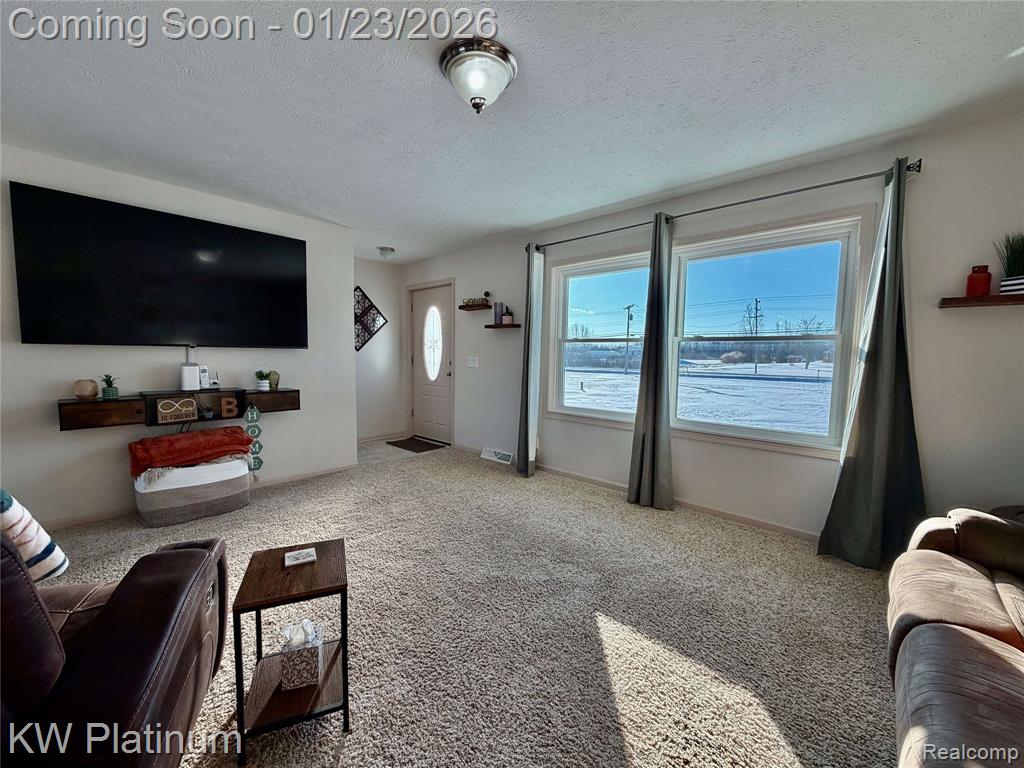 7330 Smiths Creek Road, Kimball, MI — Photo 4