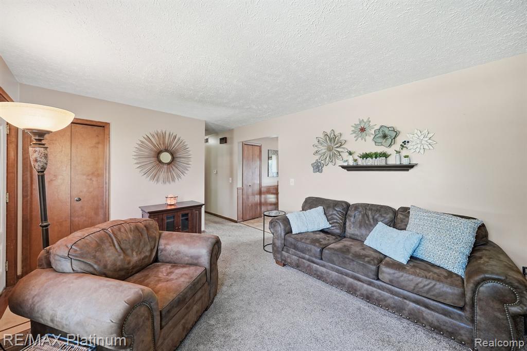 127 S East Street, Fowlerville, MI 48836 — Photo 6