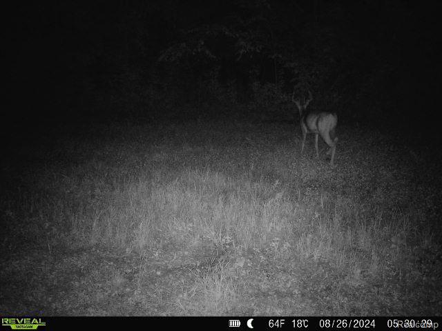 V/L BLAKE Road, Jackson, MI 49201 — Photo 84