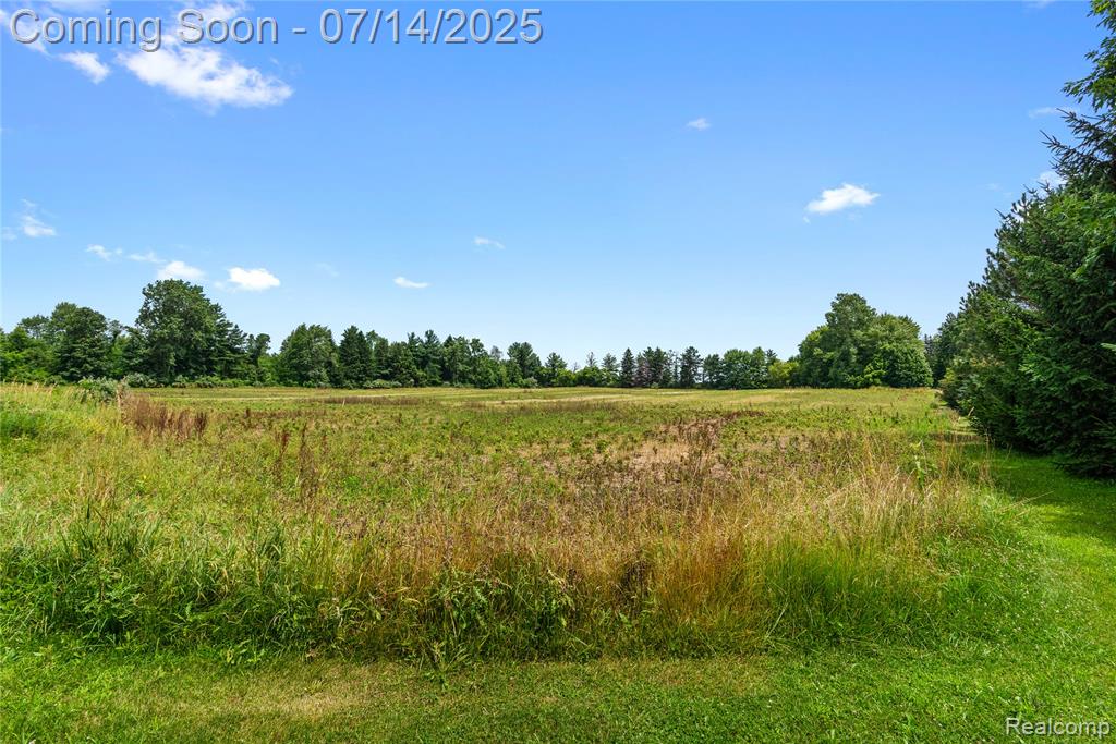 873 N Blacks Corners Road, Imlay City, MI 48444 — Photo 31