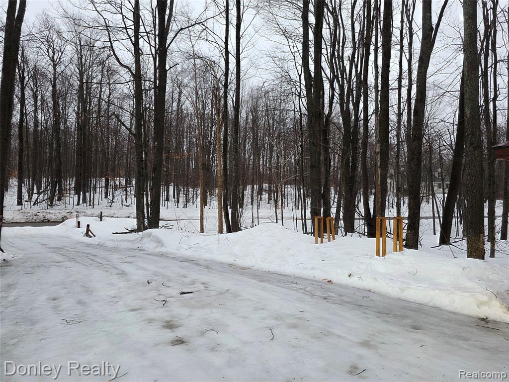 8854 Dellwood Drive, Elmira, MI 49730 — Photo 22