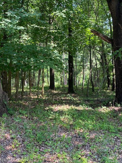 5 Sleaford-Parcel 5 - 2.5 Acres Road, Howell, MI 48843 — Photo 32
