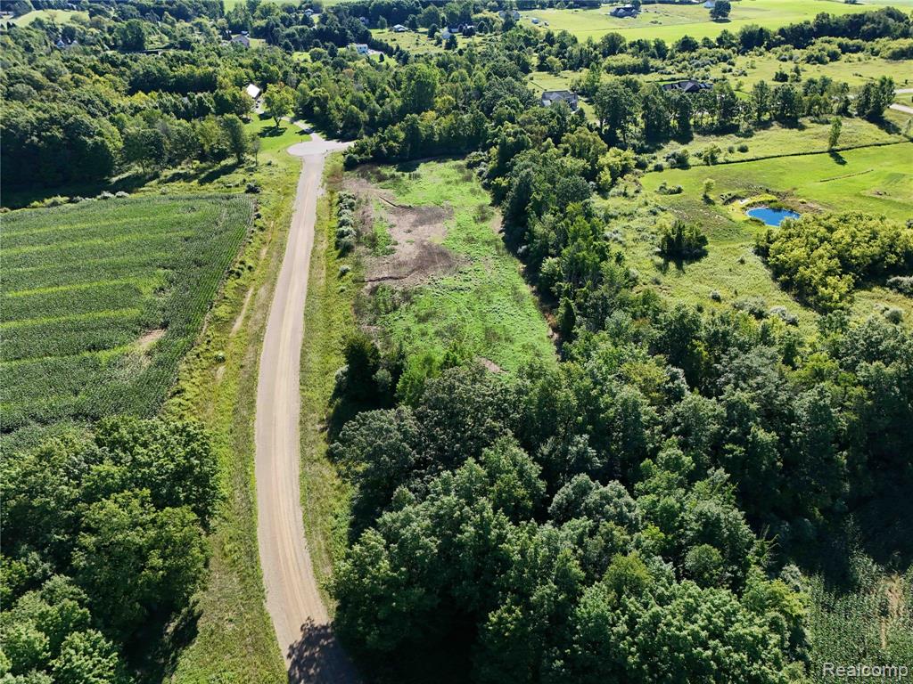 Parcel 6 Sycamore St, Dryden, MI 48428 — Photo 6