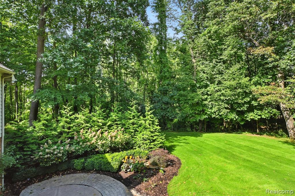 6228 Windemere Point, Brighton, MI 48116 — Photo 5
