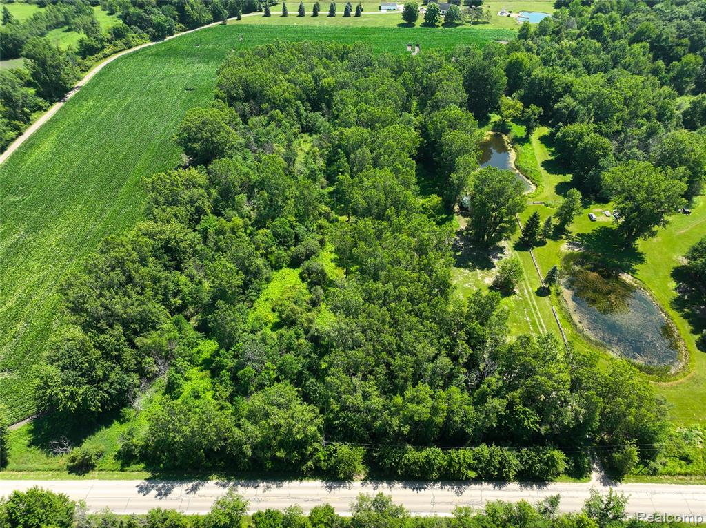 Vacant Land Nicholson Rd, Handy, MI 48836 — Photo 6