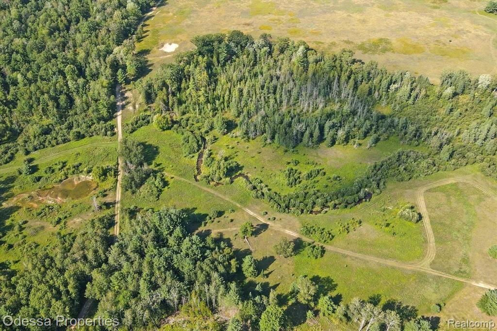 7440 Miller Rd, Whittemore, MI 48770 — Photo 47