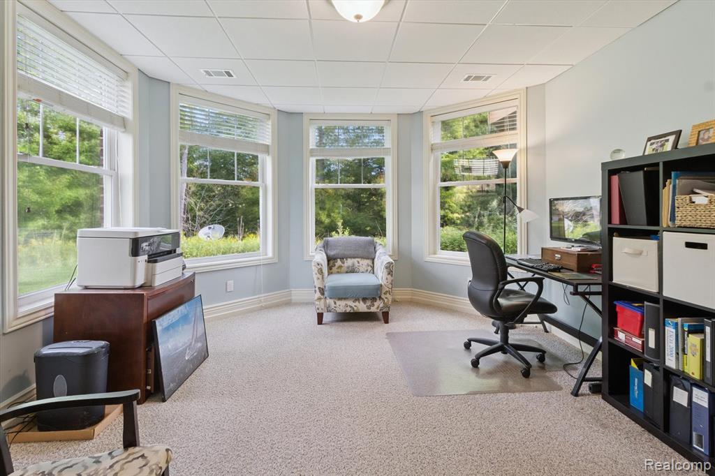 12104 Tullymore Drive, Stanwood, MI, 49346