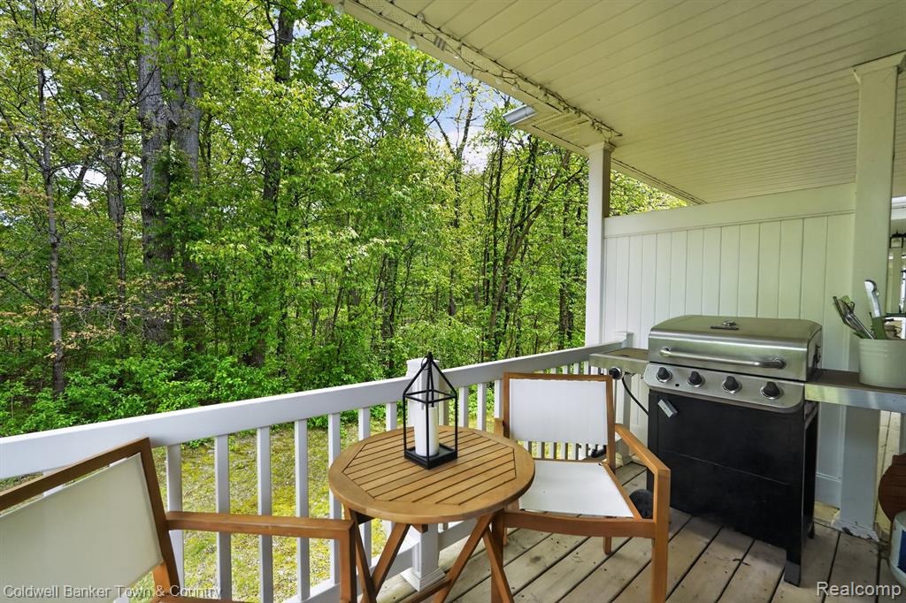 5551 Woodruff Shore Drive, Brighton, MI 48116 — Photo 31