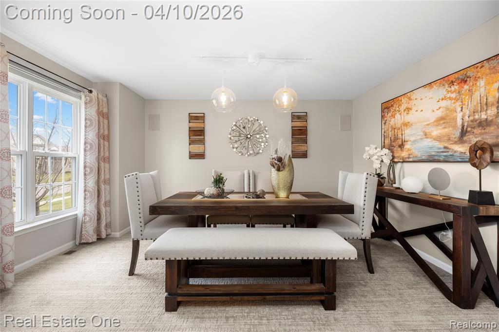 42756 Winding Pond Trail, Belleville, MI 48111 — Photo 14