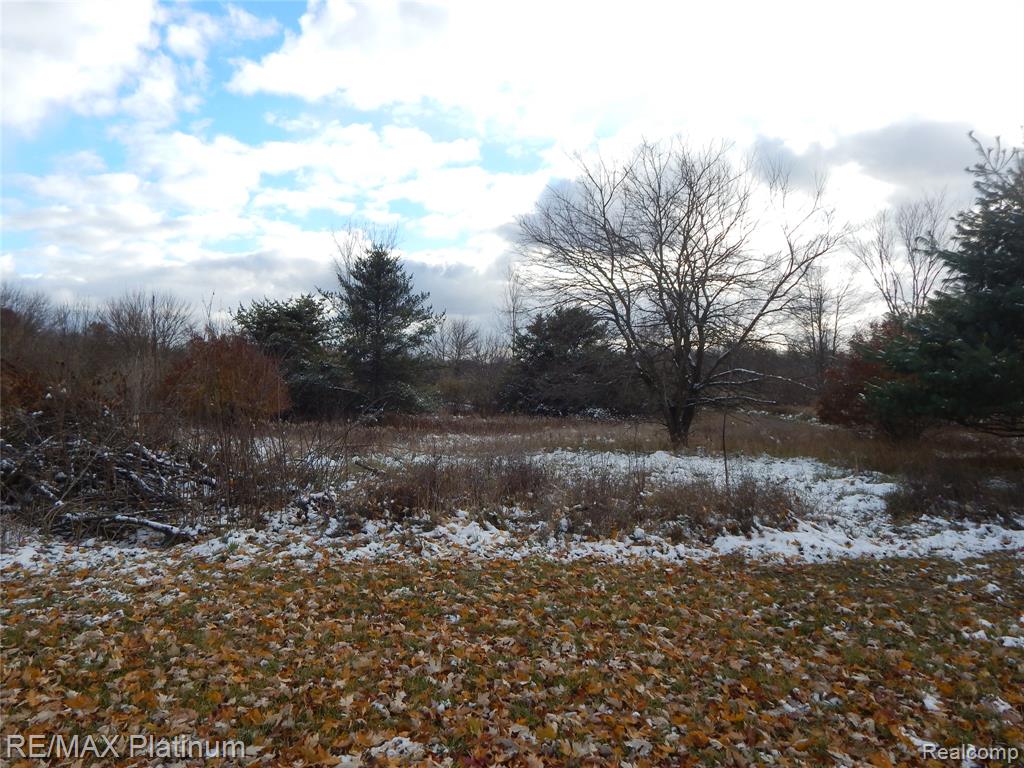 10321 E Lovejoy Road, Perry, MI 48872 — Photo 52