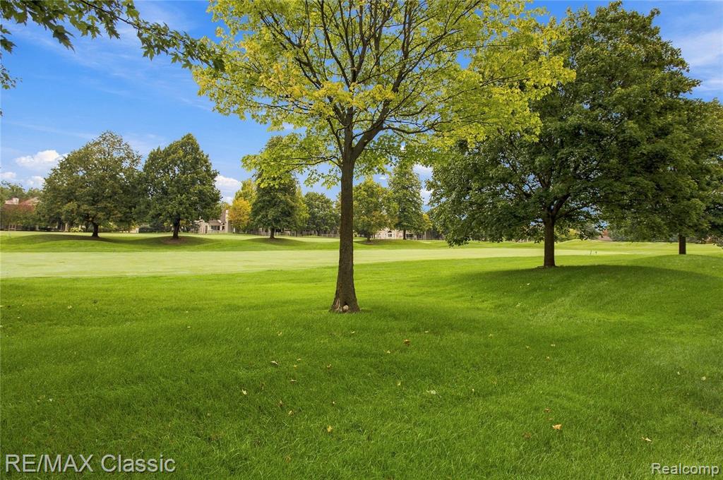 619 Windsor Run - Photo 5