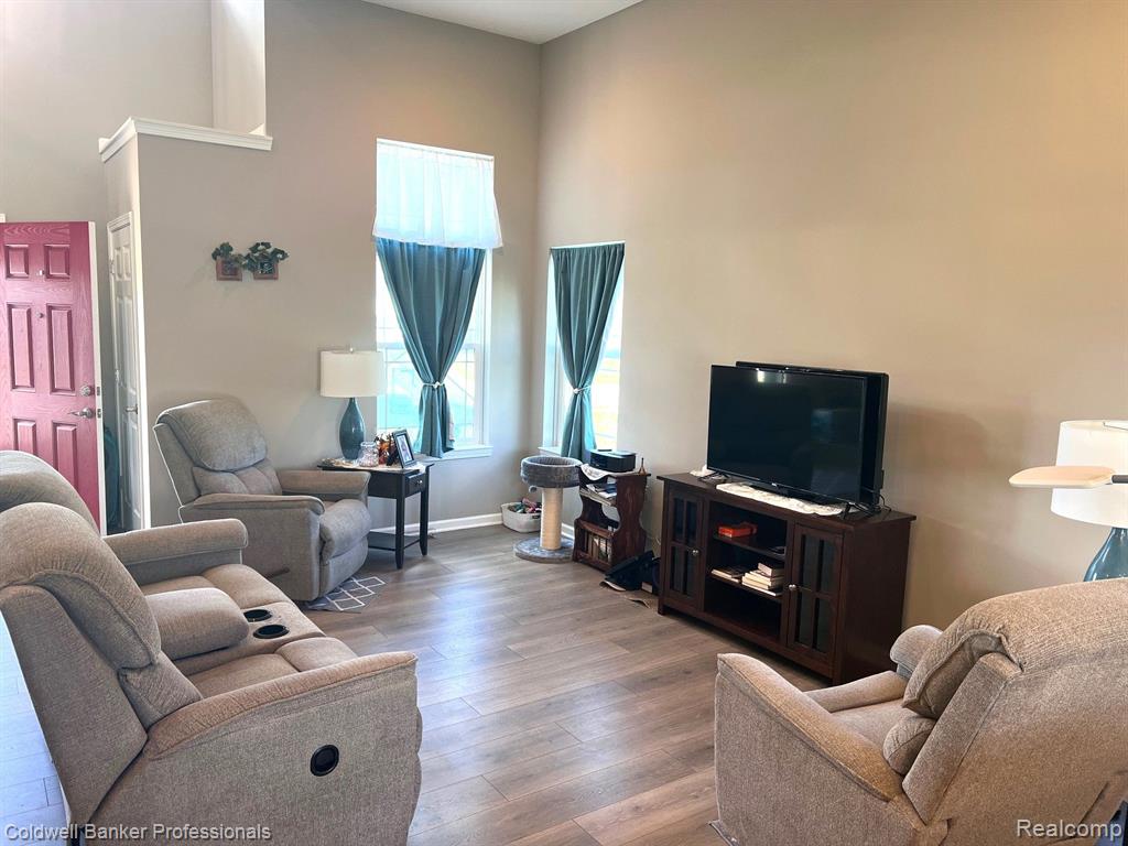301 Saphire Street, Morrice, MI 48857 — Photo 3