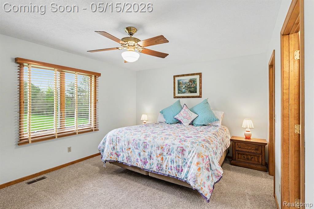 7700 N Dewitt Road, MI 48879 — Photo 9