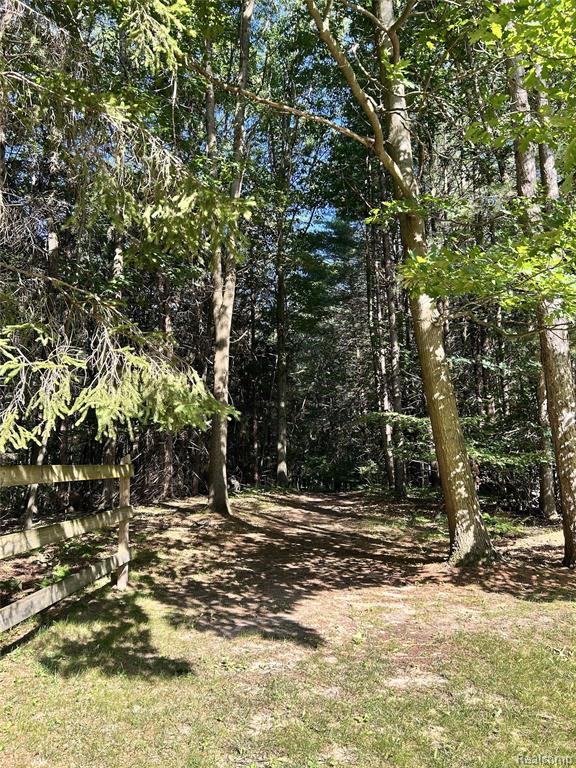 4636 N Hope Road, Hope, MI 48628 — Photo 33