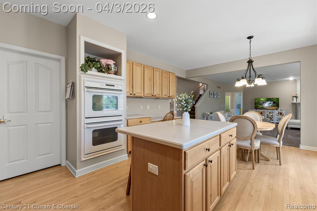 44481 White Pine Circle E, Northville, MI — Photo 19