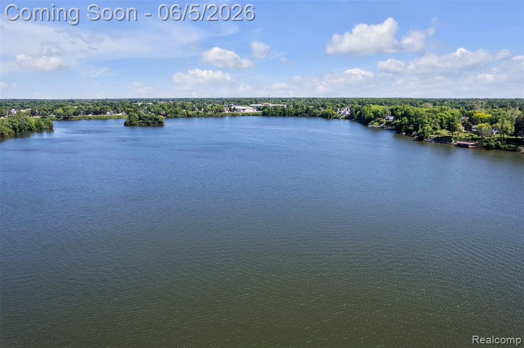 47435 N Shore Drive, Belleville, MI 48111 — Photo 5