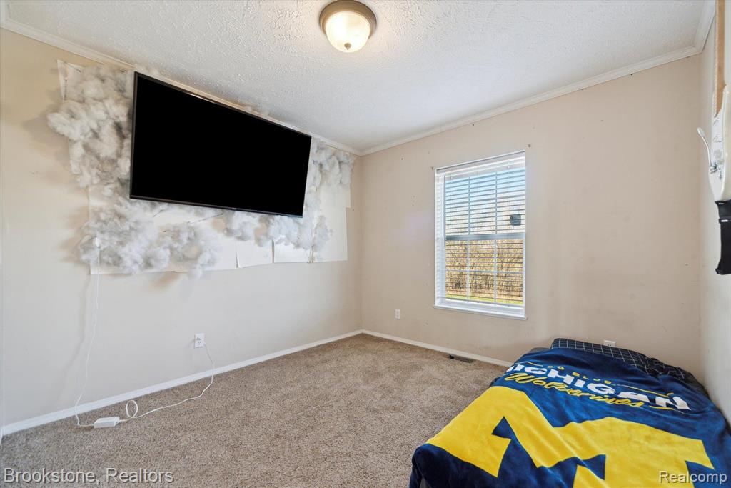 13887 S SUNFIELD, Lake Odessa, MI 48849 — Photo 15