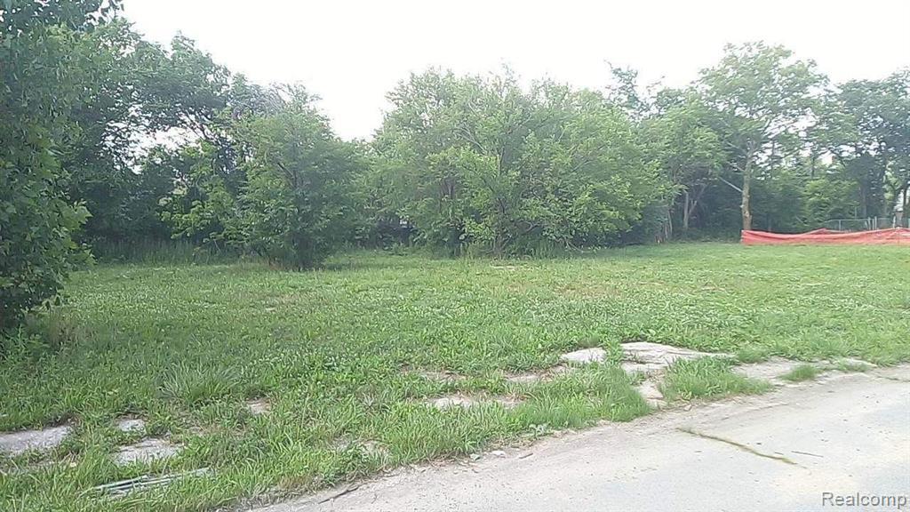 4288 WEBB Street, Detroit, MI, 48204