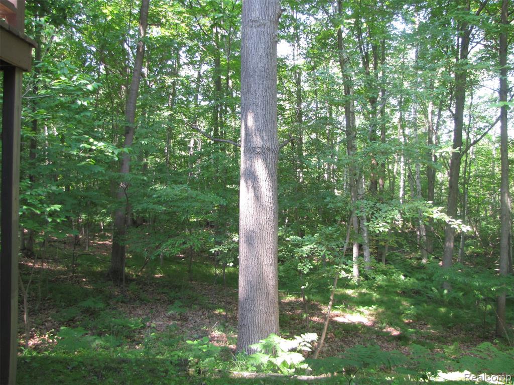 1576 Pine Knoll Lane, Caro, MI 48723 — Photo 26
