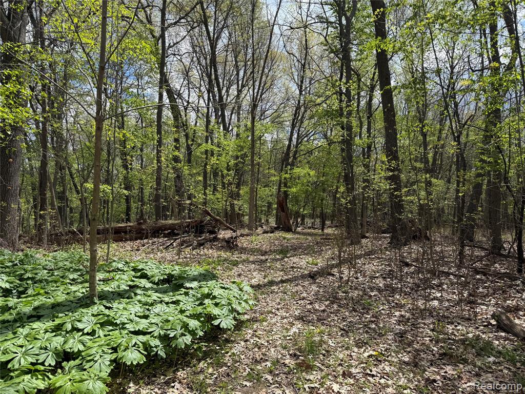 Lot 25 Hidden Ridge Trail, Fenton, MI 48430 — Photo 5