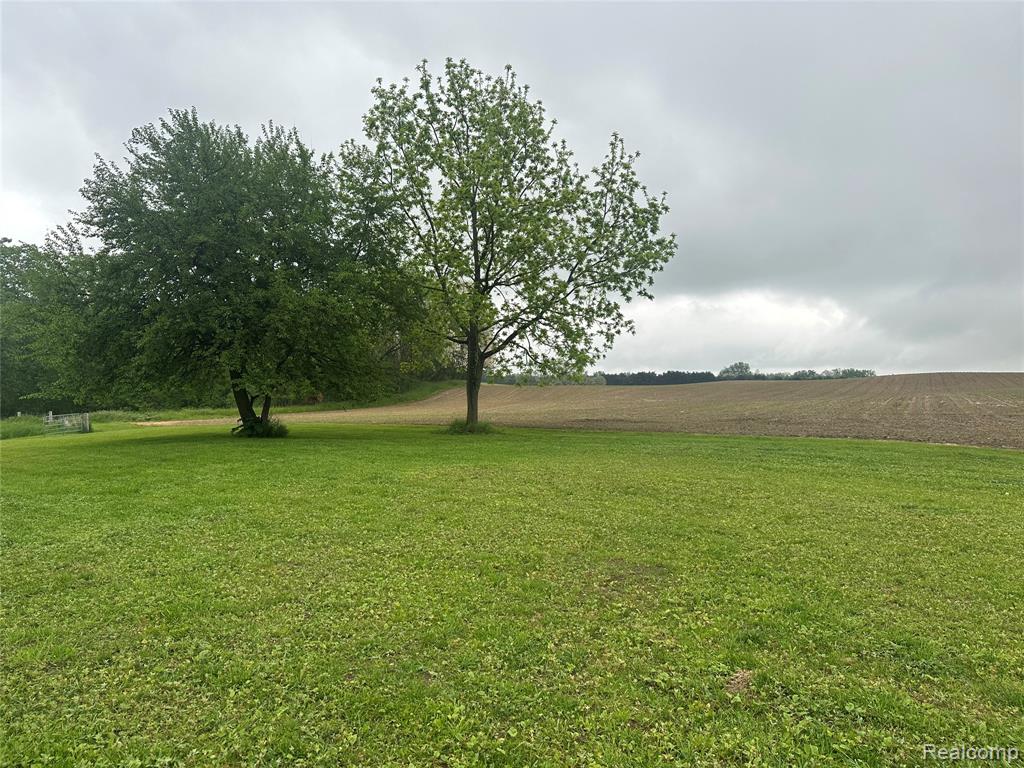 VL Mertz Road, Mayville Vlg, MI 48744 — Photo 15