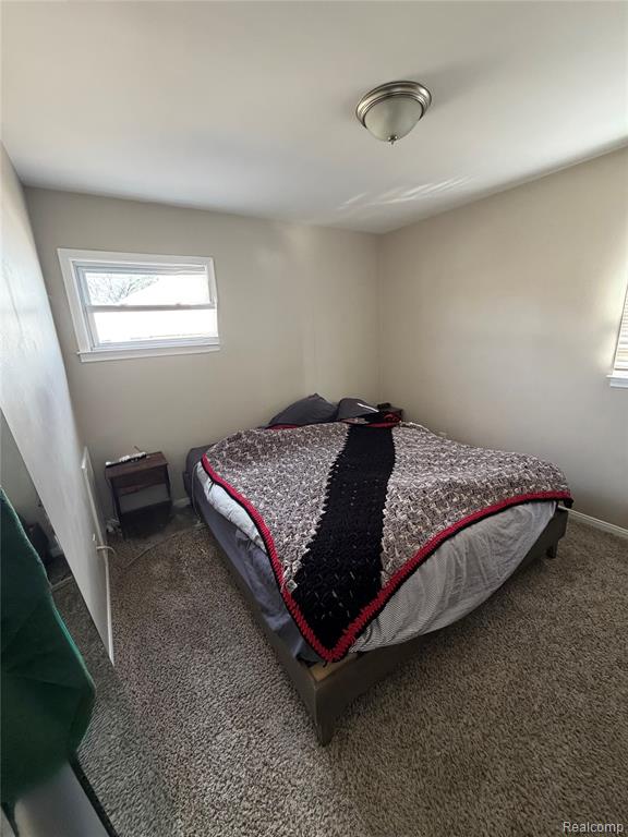 1071 13th Street, Wyandotte, MI 48192 — Photo 13