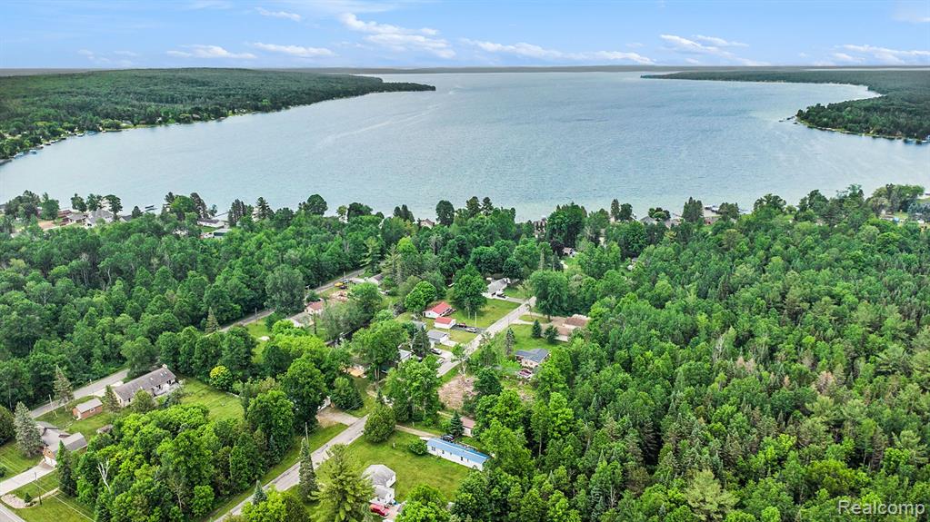 6954 LAKEVIEW Drive, Hubbard Lake, MI 49747 — Photo 29