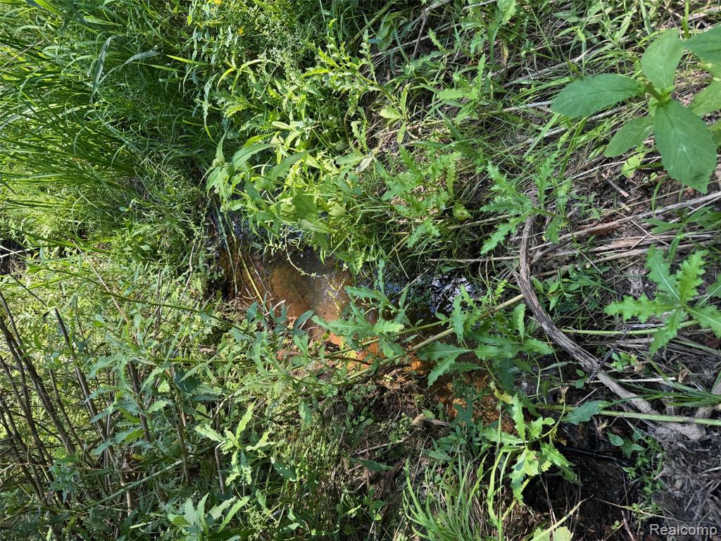 VL S Mill Road, Dryden, MI 48428 — Photo 10