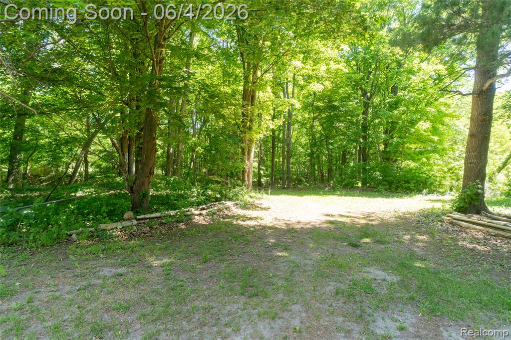 505 S Main Street, Scottville, MI 49454 — Photo 21