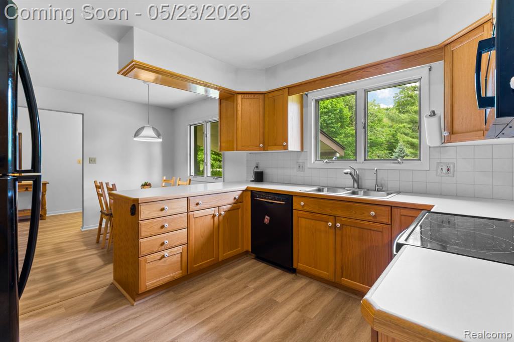 14148 Hayrake Hollow, Chelsea, MI 48118 — Photo 5