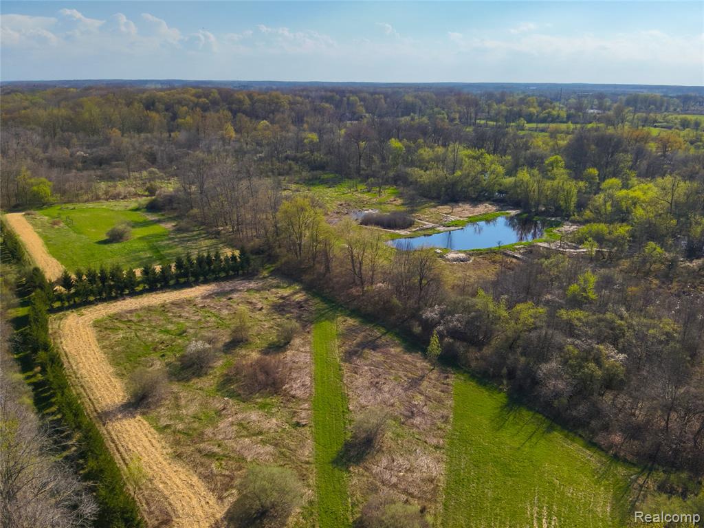 5785 Layton Road, Fowlerville, MI 48836 — Photo 63